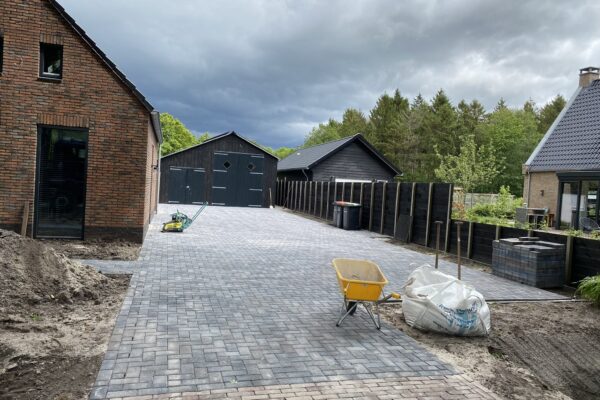 IMG_4111_optimized